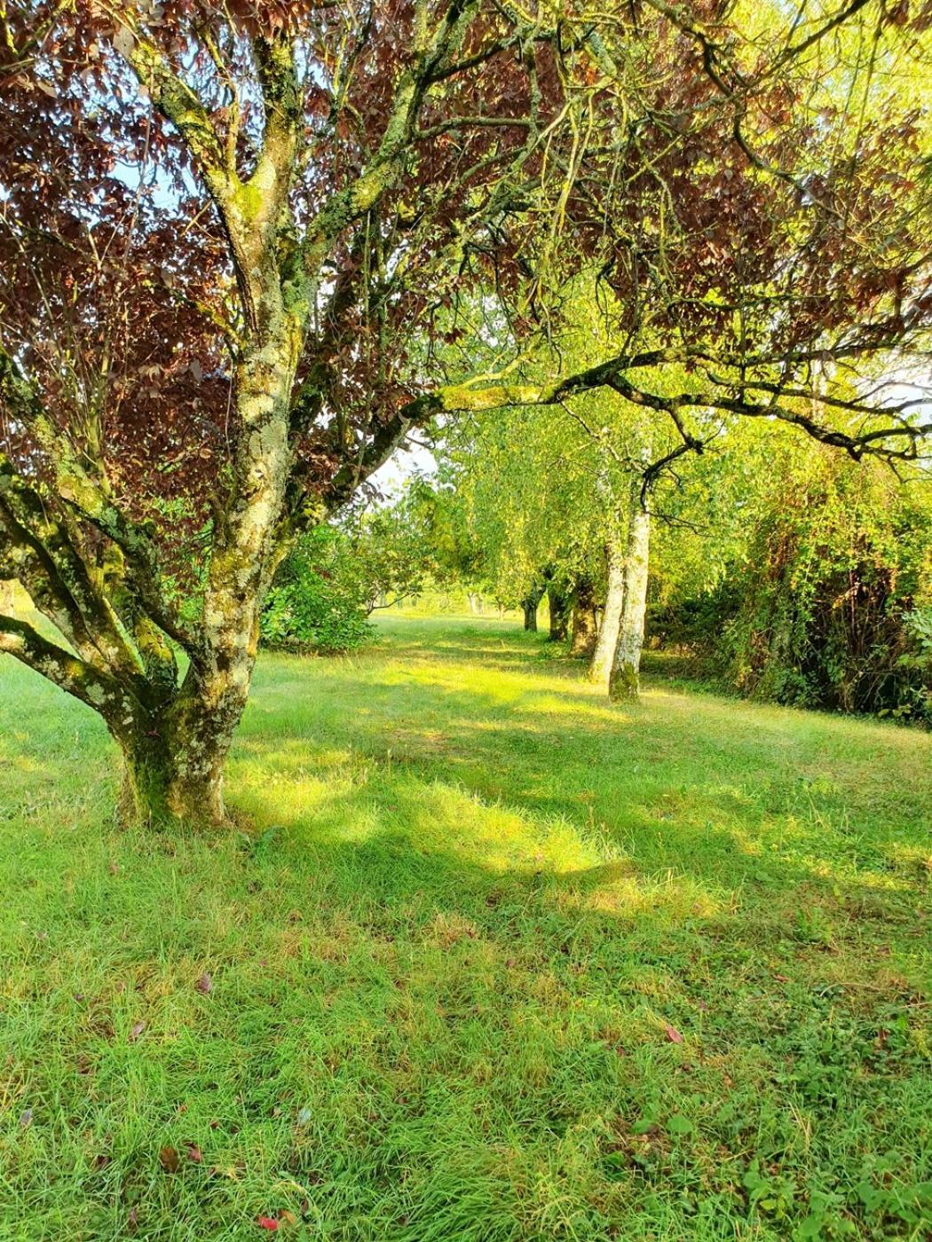Le Clos Violet Clesse Holiday Home For 6 エクステリア 写真